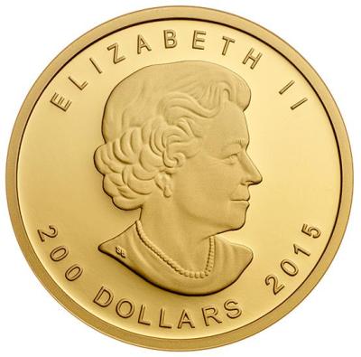 1oz-Ryczacy-Kuguar-zlota-moneta-2015-awers 1oz-Ryczacy-Kuguar-zlota-moneta-2015-awers